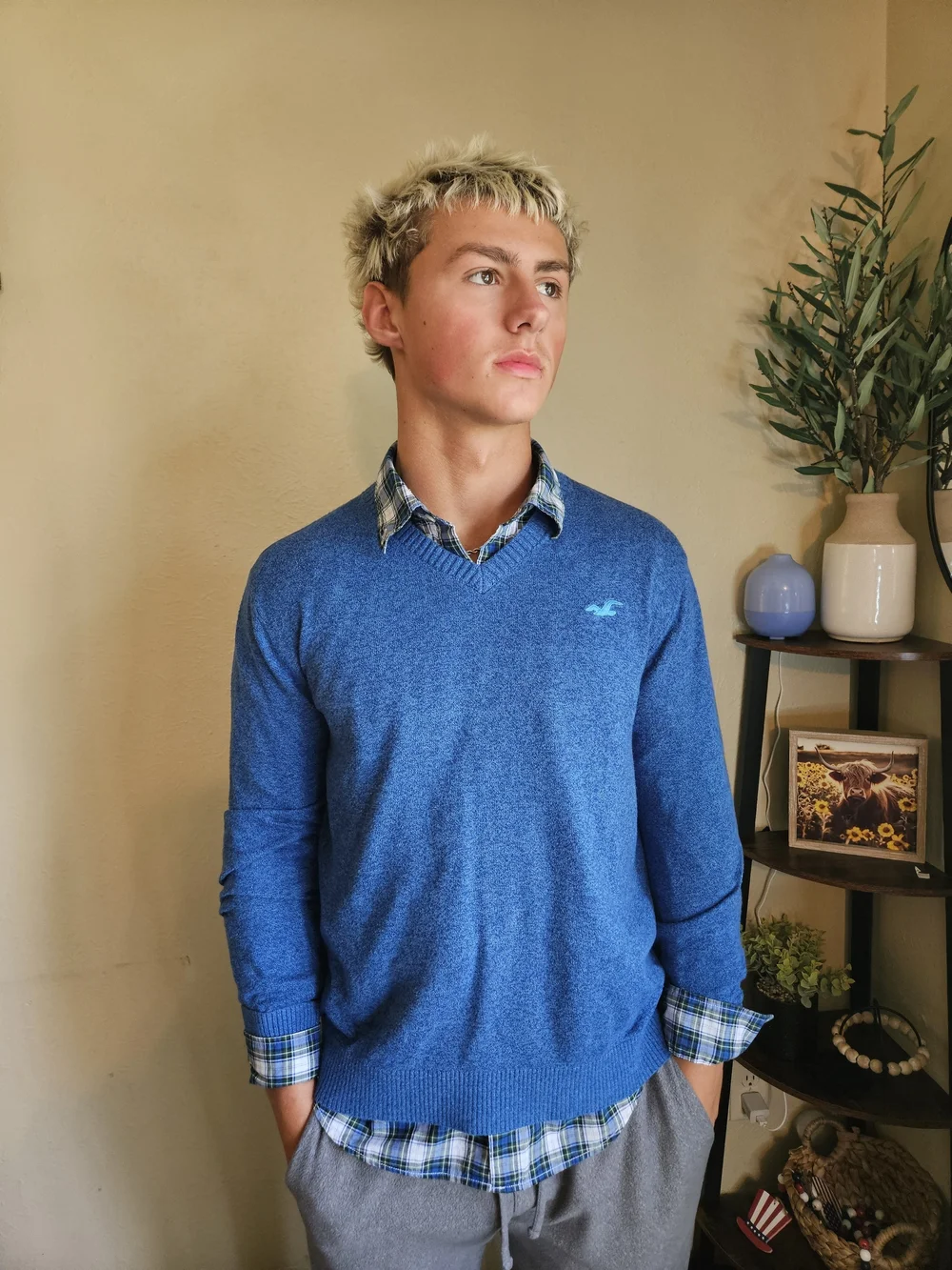 Hollister classic blue
